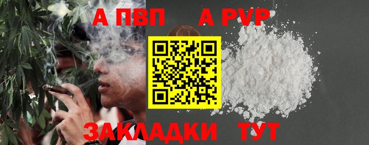Alfa_PVP СК Павловский Посад