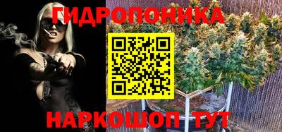 мяу мяу мука Бугуруслан