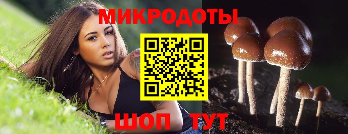 Псилоцибиновые грибы прущие грибы  хочу наркоту  Павловский Посад  Вход с VPN  Галлюциногенные грибы прущие грибы 